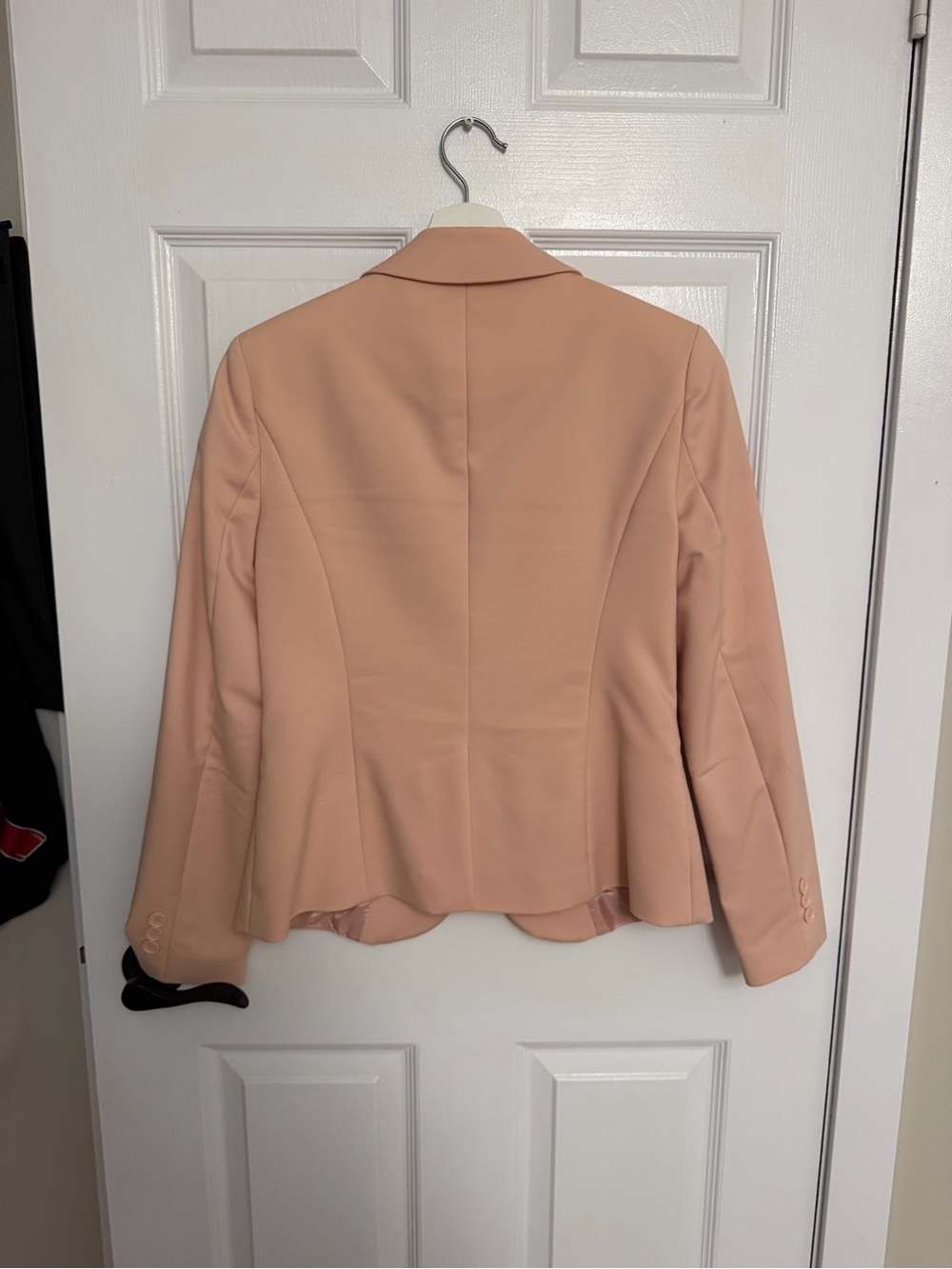 G2000 Blush Pink Tailored Single-Button Blazer - Picture 3 of 3